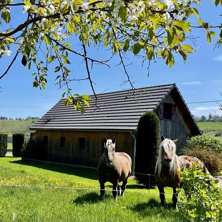 Domek alpejski Le Loti Des Arnats Saint-Nectaire