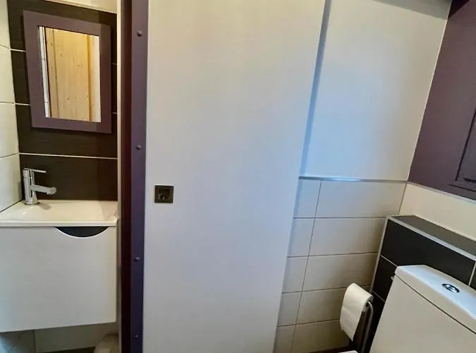 Le Loti Des Arnats * Saint-Nectaire